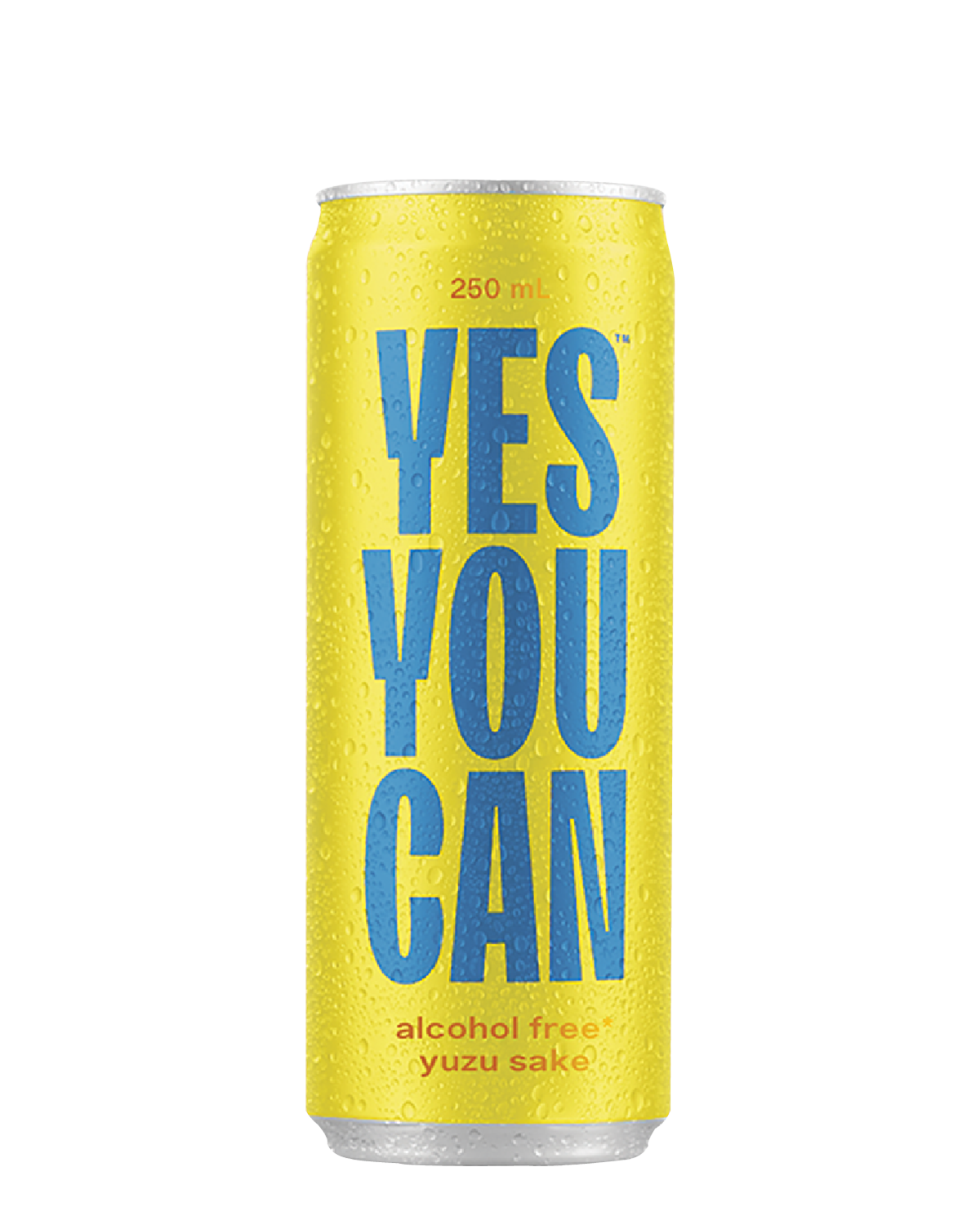 Yes You Can •