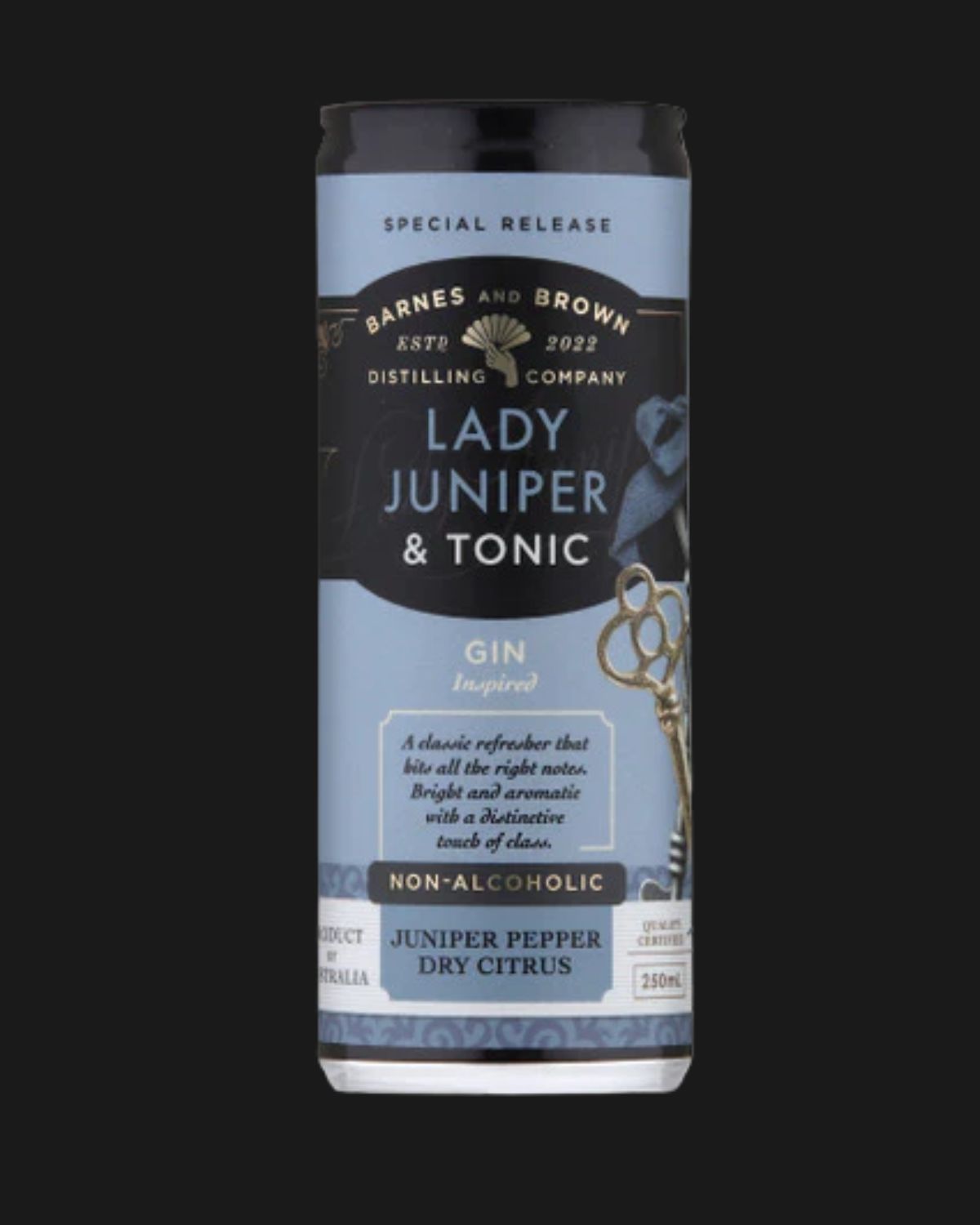 Barnes and Brown Lady Juniper & Tonic Case - 250mL